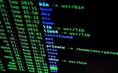 BASH fetch?
