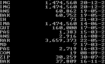 Fullscreen DOSBOX in square screen // Hackberry Pi